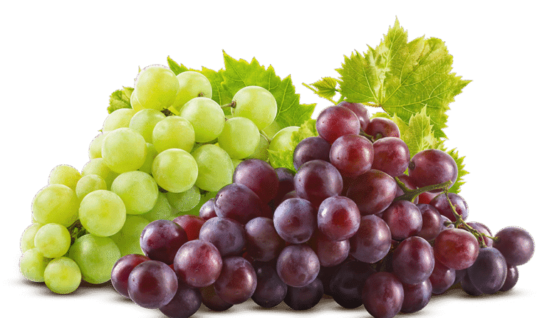 Excellent grapes